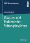 Ursachen und Probleme der Stiftungsinsolvenz - eBook