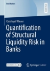 Quantification of Structural Liquidity Risk in Banks - eBook