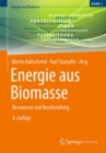 Energie aus Biomasse : Ressourcen und Bereitstellung - eBook