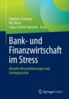Bank- und Finanzwirtschaft im Stress : Aktuelle Herausforderungen und Losungsansatze - eBook