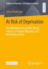 At Risk of Deprivation : The Multidimensional Well-Being Impacts of Climate Migration and Immobility in Peru - Book