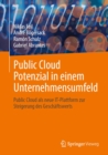 Public Cloud Potenzial in einem Unternehmensumfeld : Public Cloud als neue IT-Plattform zur Steigerung des Geschaftswerts - eBook