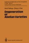 Degeneration of Abelian Varieties - eBook
