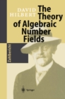 The Theory of Algebraic Number Fields - eBook