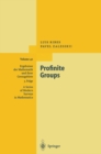 Profinite Groups - eBook