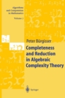 Completeness and Reduction in Algebraic Complexity Theory - eBook