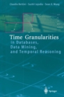 Time Granularities in Databases, Data Mining, and Temporal Reasoning - eBook