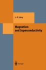 Magnetism and Superconductivity - eBook