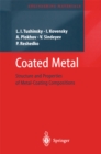 Coated Metal : Structure and Properties of Metal-Coating Compositions - eBook