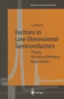 Excitons in Low-Dimensional Semiconductors : Theory Numerical Methods Applications - eBook