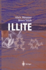 Illite : Origins, Evolution and Metamorphism - eBook