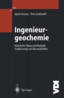 Ingenieurgeochemie : Technische Geochemie - Konzepte und Praxis - eBook