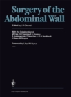 Surgery of the Abdominal Wall - eBook