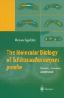The Molecular Biology of Schizosaccharomyces pombe : Genetics, Genomics and Beyond - eBook
