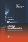 Adaptive Signal Processing : Applications to Real-World Problems - eBook