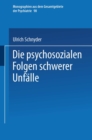 Die psychosozialen Folgen schwerer Unfalle - eBook