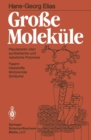 Groe Molekule : Plaudereien uber synthetische und naturliche Polymere - eBook