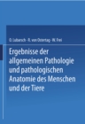 Ergebnisse der Allgemeinen Pathologie und Pathologischen Anatomie des Menschen und der Tiere : Gesamtinhaltsverzeichnis zu Jahrgang XVII-XXIII - eBook