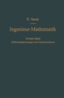 Differentialgleichungen und Funktionentheorie - eBook