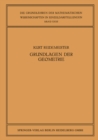 Vorlesungen uber Grundlagen der Geometrie - eBook