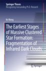 The Earliest Stages of Massive Clustered Star Formation: Fragmentation of Infrared Dark Clouds - eBook