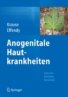 Anogenitale Hautkrankheiten : Erkennen, Befunden, Behandeln - eBook