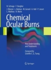 Chemical Ocular Burns : New Understanding and Treatments - Book