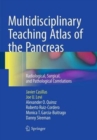 Multidisciplinary Teaching Atlas of the Pancreas : Radiological, Surgical, and Pathological Correlations - Book