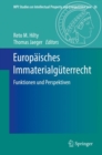 Europaisches Immaterialguterrecht : Funktionen und Perspektiven - eBook