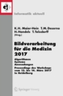 Bildverarbeitung fur die Medizin 2017 : Algorithmen - Systeme - Anwendungen. Proceedings des Workshops vom 12. bis 14. Marz 2017 in Heidelberg - eBook