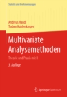 Multivariate Analysemethoden : Theorie und Praxis mit R - eBook