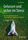 Gelassen und sicher im Stress : Das Stresskompetenz-Buch: Stress erkennen, verstehen, bewaltigen - eBook