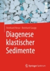 Diagenese klastischer Sedimente - eBook