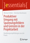 Produktiver Umgang mit Spannungsfeldern und Grenzen in der Projektarbeit : Handlungsempfehlungen aus der Praxis - eBook