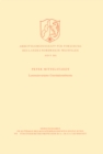 Lorentzinvariante Gravitationstheorie - eBook