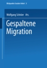 Gespaltene Migration - eBook