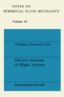 Efficient Solutions of Elliptic Systems : Proceedings of a GAMM-Seminar Kiel, January 27 to 29, 1984 - eBook
