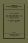 Die Grundlagen der Mathematik - eBook