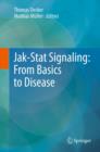 Jak-Stat Signaling : From Basics to Disease - eBook