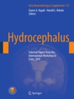 Hydrocephalus : Selected Papers from the International Workshop in Crete, 2010 - eBook