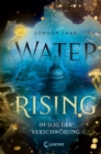 Water Rising (Band 2) - Im Sog der Verschworung : Dystopischer Climate Thriller ab 14 Jahre - eBook