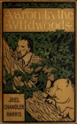 Aaron in the Wildwoods - eBook