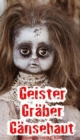 Geister, Graber, Gansehaut : 13 Gruselstorys - eBook