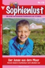 Der Junge aus dem Moor : Sophienlust 178 - Familienroman - eBook