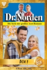 Dr. Norden (ab 600) Jubilaumsbox 1 - Arztroman - eBook