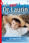 Die Stimme der Fremden : Der neue Dr. Laurin 10 - Arztroman - eBook