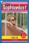 E-Book 81-85 : Sophienlust Box 16 - Familienroman - eBook