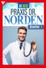 E-Book 1-10 : Die neue Praxis Dr. Norden Staffel 1 - Arztserie - eBook