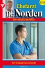 Der Einsatz ist zu hoch! : Chefarzt Dr. Norden 1213 - Arztroman - eBook