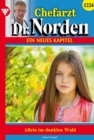 Allein im dunklen Wald : Chefarzt Dr. Norden 1224 - Arztroman - eBook